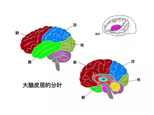 六宝典最新资料大全