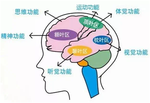 六宝典最新资料大全