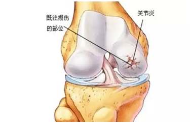 六宝典最新资料大全