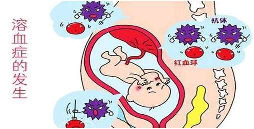 六宝典最新资料大全