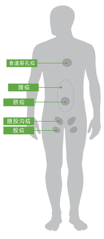 六宝典最新资料大全