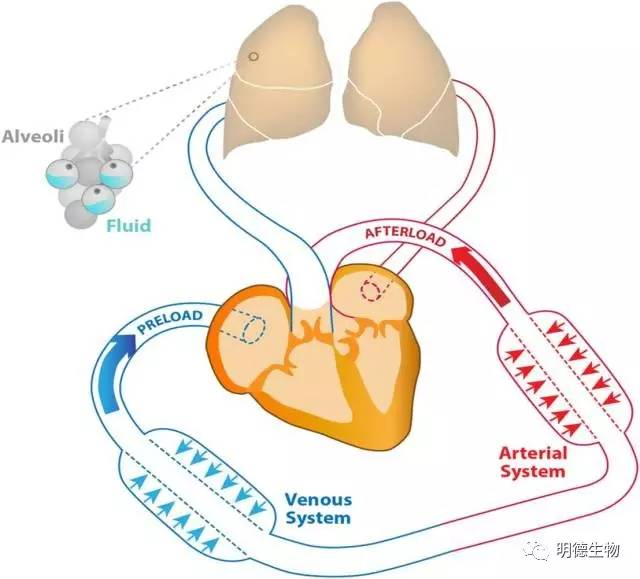 六宝典最新资料大全