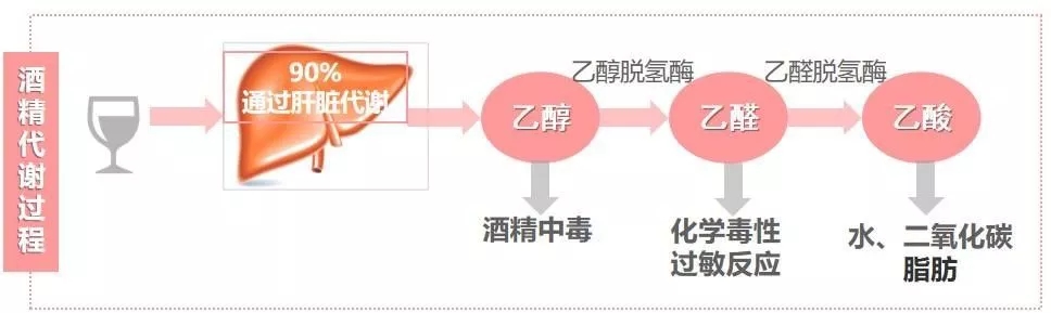 六宝典最新资料大全