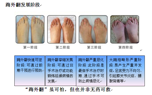 六宝典最新资料大全