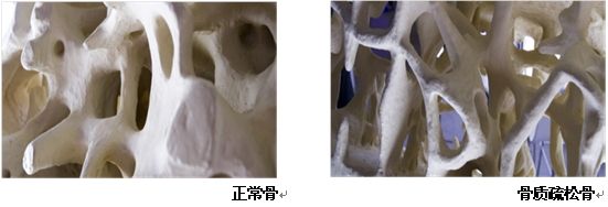 六宝典最新资料大全