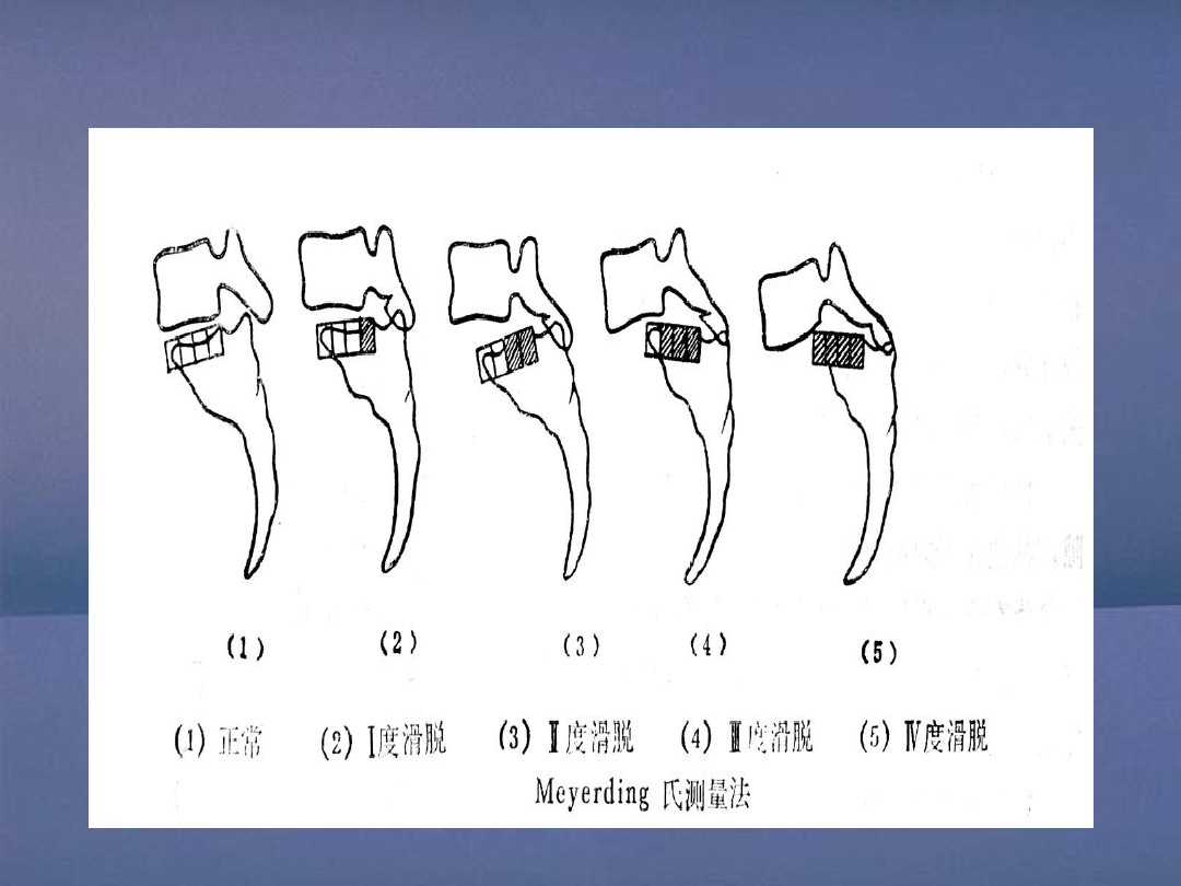 六宝典最新资料大全