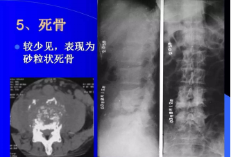 六宝典最新资料大全