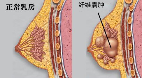 六宝典最新资料大全