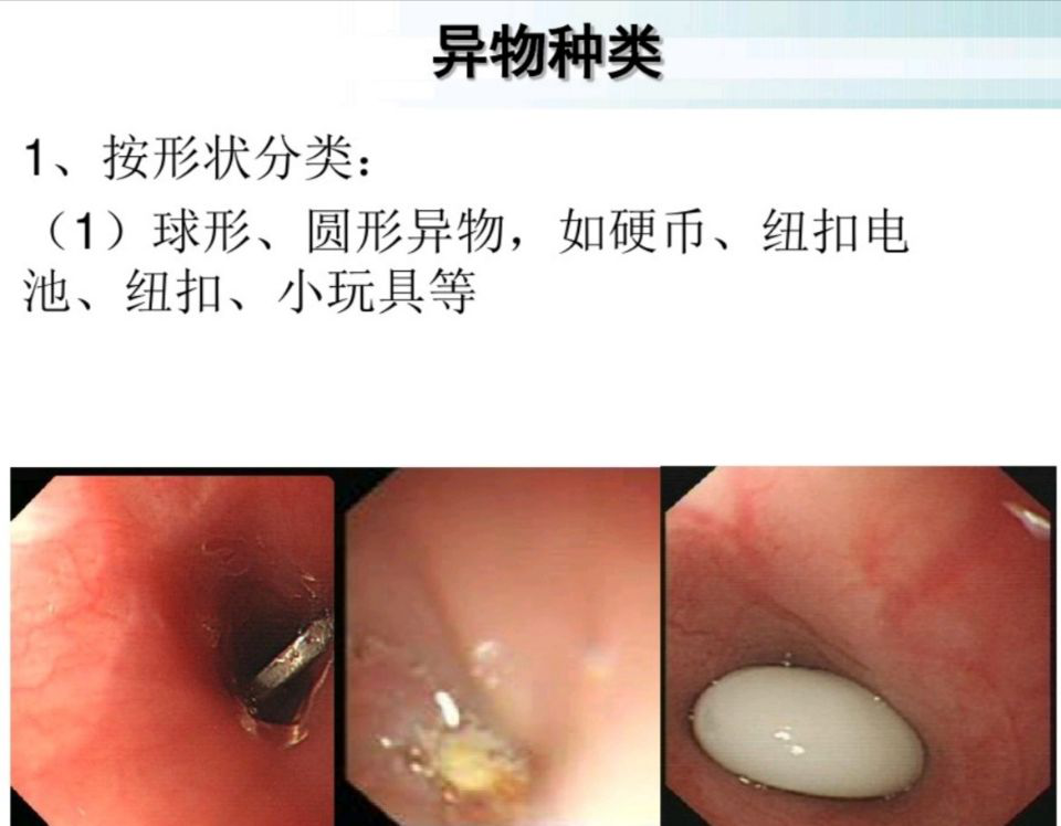 六宝典最新资料大全