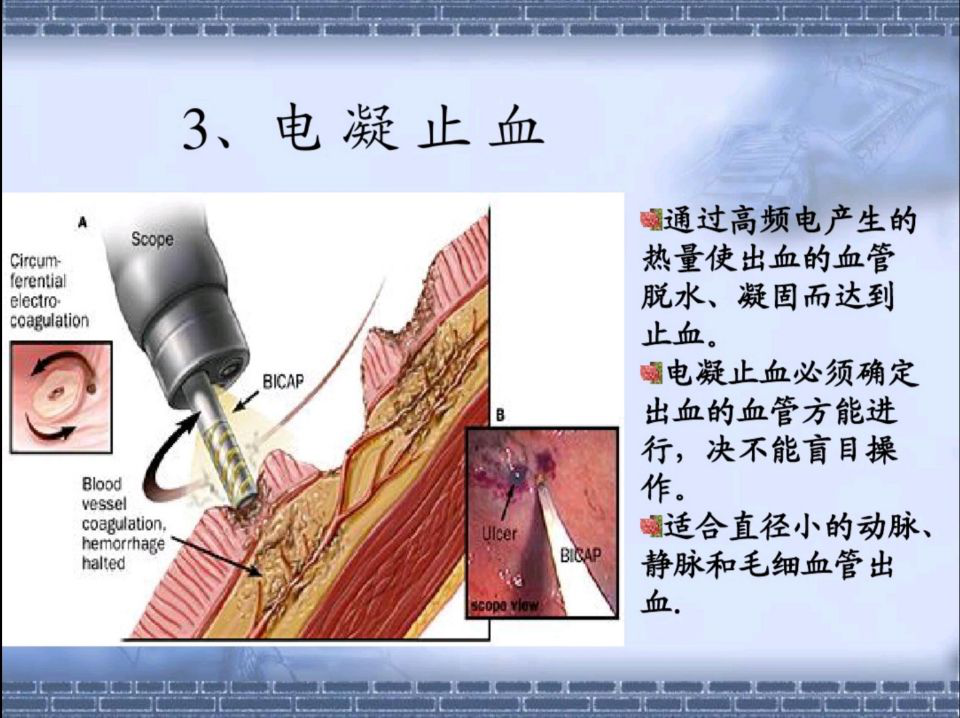 六宝典最新资料大全