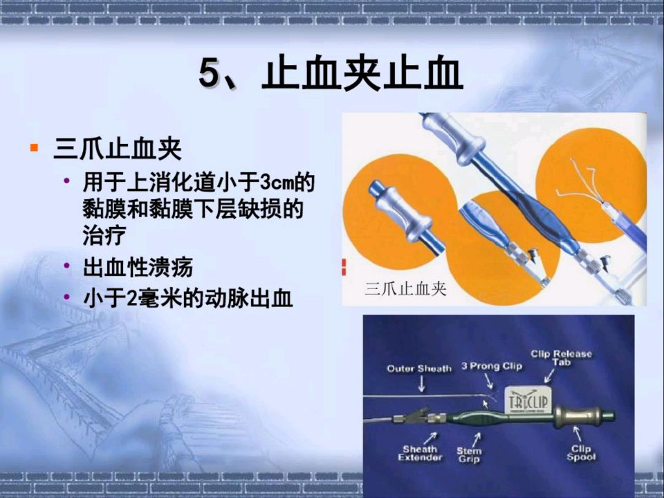 六宝典最新资料大全