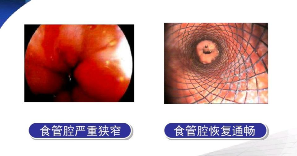 六宝典最新资料大全