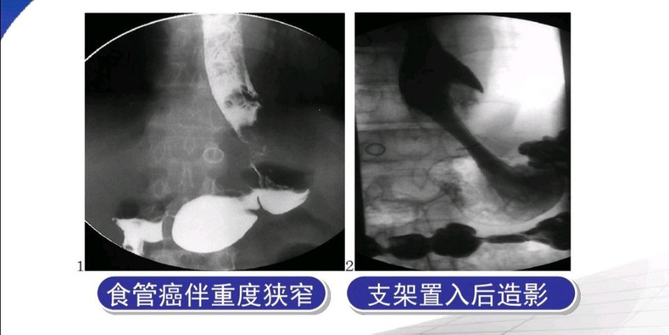 六宝典最新资料大全