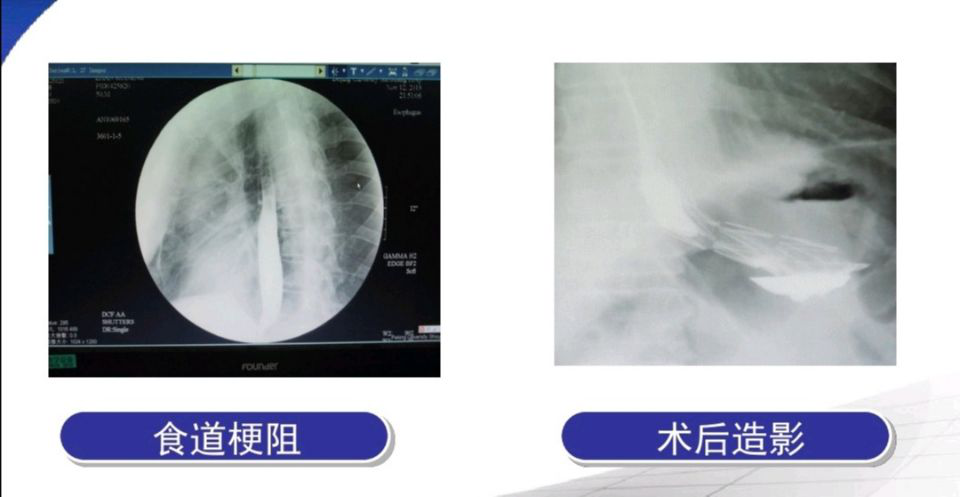 六宝典最新资料大全