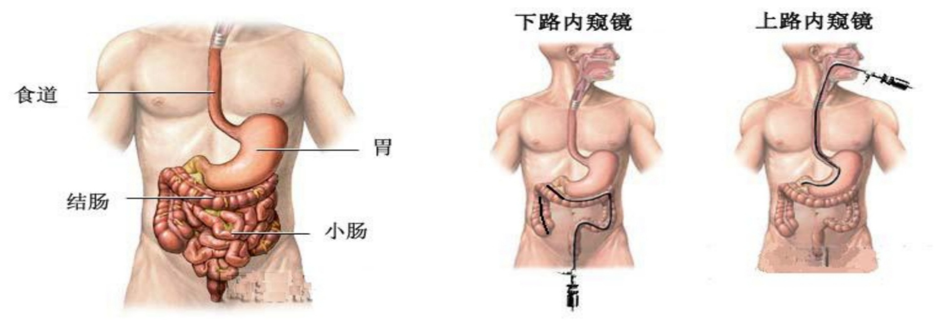 六宝典最新资料大全