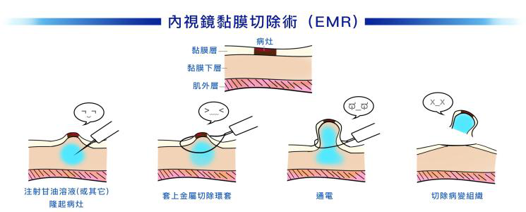 六宝典最新资料大全