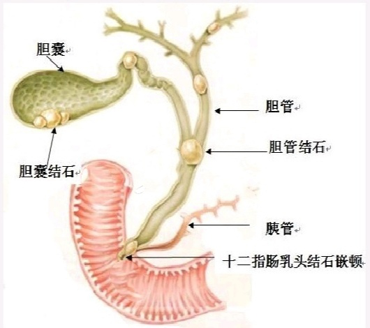 六宝典最新资料大全