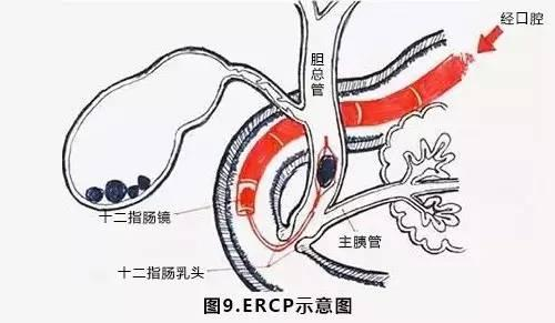 六宝典最新资料大全