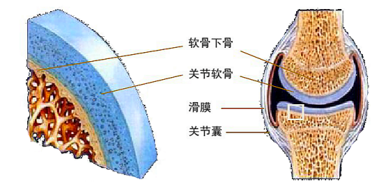 六宝典最新资料大全