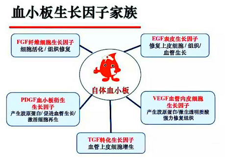 六宝典最新资料大全