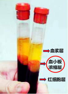 六宝典最新资料大全