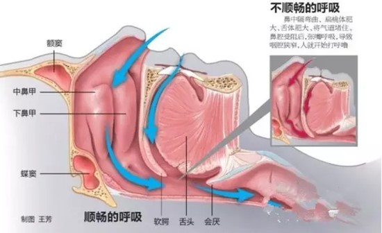 六宝典最新资料大全