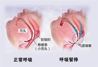 六宝典最新资料大全