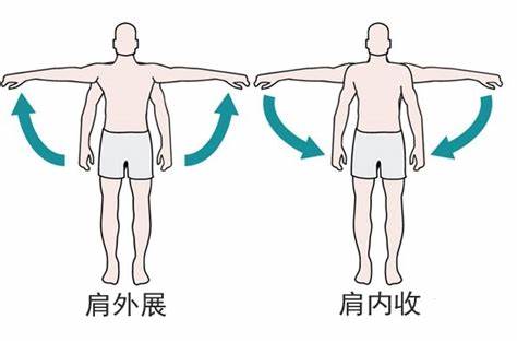 六宝典最新资料大全