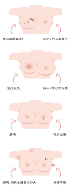 六宝典最新资料大全