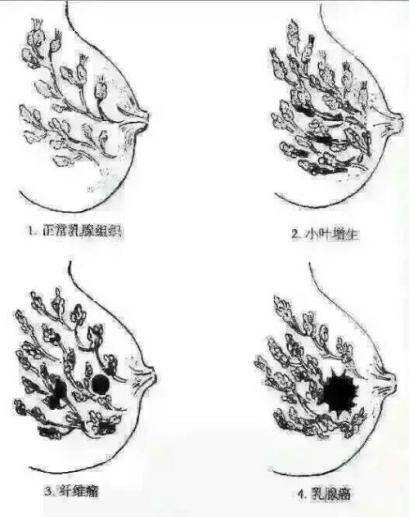 六宝典最新资料大全