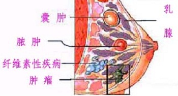 六宝典最新资料大全