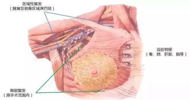 六宝典最新资料大全