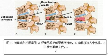 六宝典最新资料大全