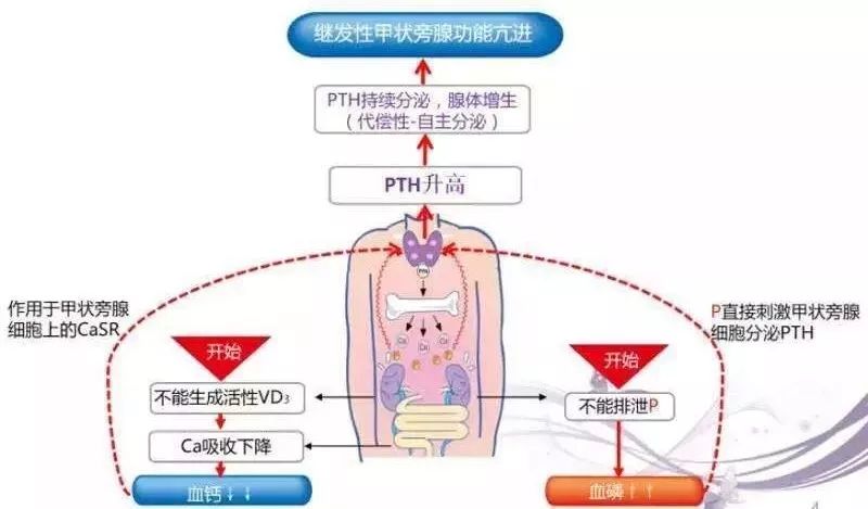 六宝典最新资料大全