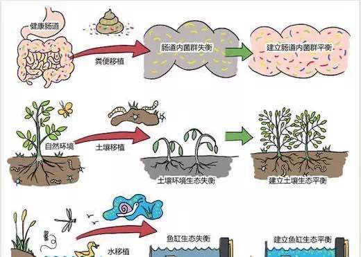 六宝典最新资料大全