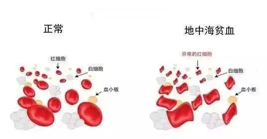 六宝典最新资料大全