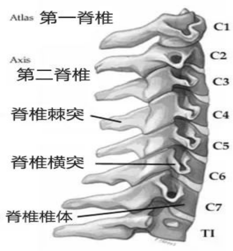 六宝典最新资料大全