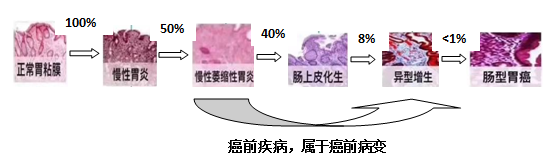 六宝典最新资料大全