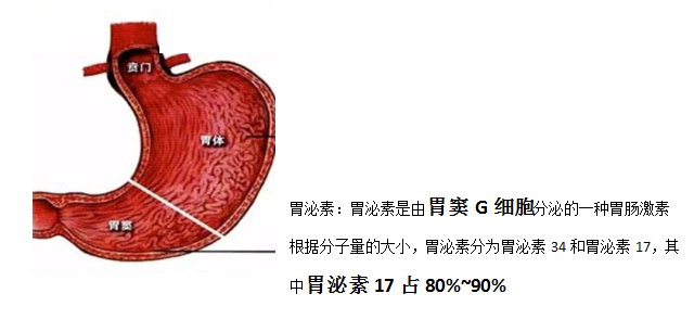 六宝典最新资料大全