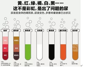 六宝典最新资料大全