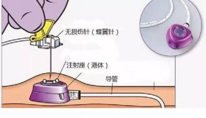 六宝典最新资料大全