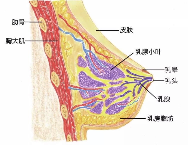 六宝典最新资料大全