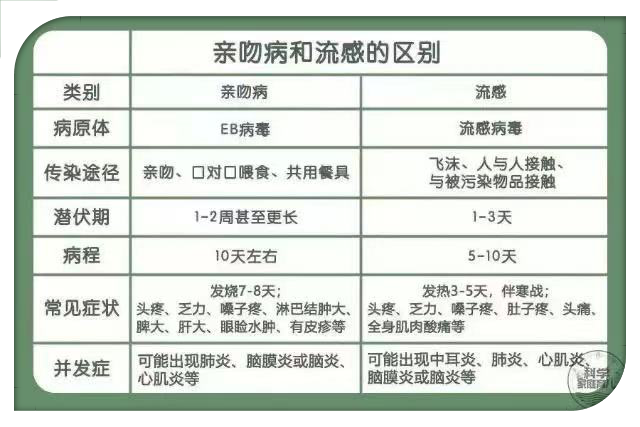 六宝典最新资料大全