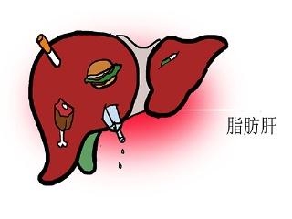 六宝典最新资料大全