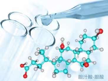 六宝典最新资料大全