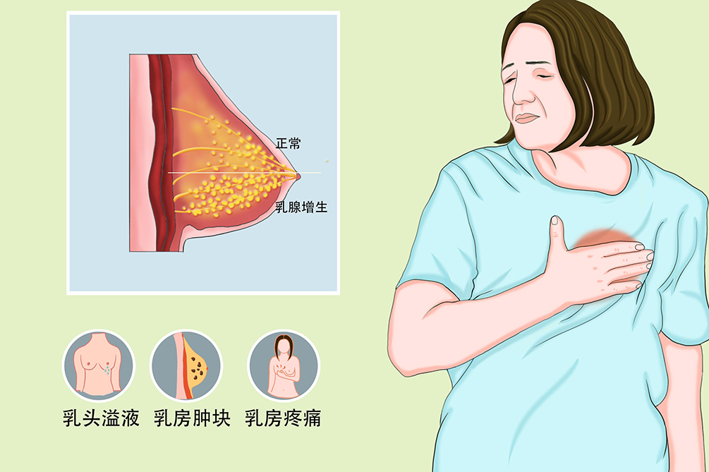 六宝典最新资料大全