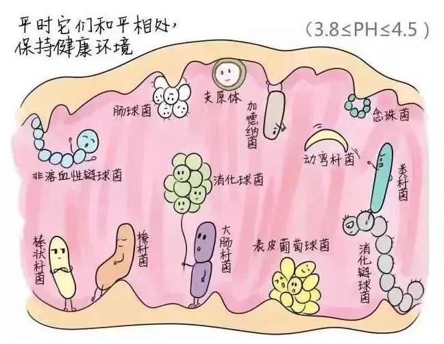 六宝典最新资料大全