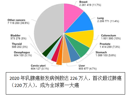 六宝典最新资料大全