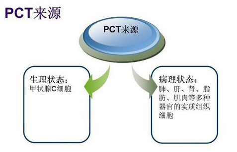 六宝典最新资料大全