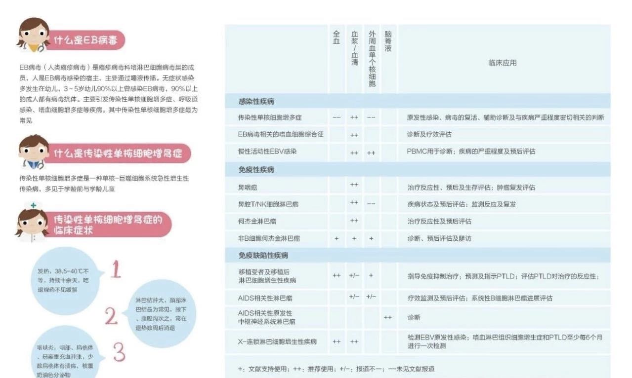 六宝典最新资料大全